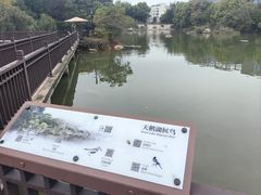 -厦门悦华酒店