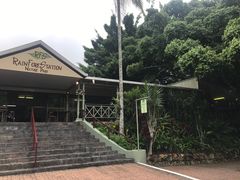 -热带雨林自然公园