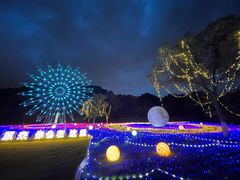 -白马涧龙池景区