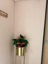 -广东韩妃整形外科医院
