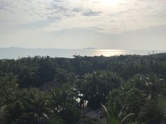 -三亚湾海居铂尔曼度假酒店