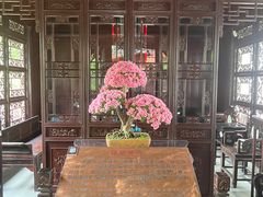 -上海醉白池公园