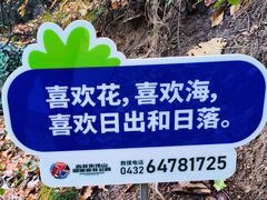 -吉林市朱雀山国家森林公园