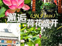 -荔湾湖公园