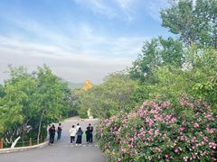 -千佛山风景名胜区
