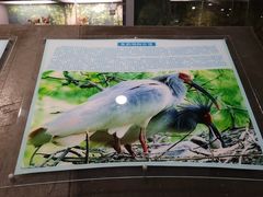 -下渚湖国家湿地公园科普馆