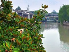 -嘉兴月河历史街区