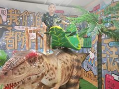 -秦皇岛乐岛海洋王国