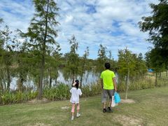 -上海长兴岛郊野公园