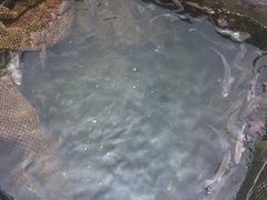 -海上驿站渔家菜馆