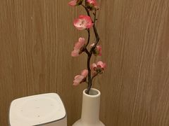 -耳道精致采耳(运达汇店)