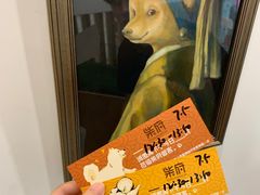 -逗柴咖啡屋·狗咖猫咖宠物桌游
