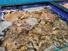 -东海怡品海鲜豆捞(星街坊店)