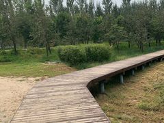 -东郊湿地公园