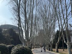 -郑州植物园