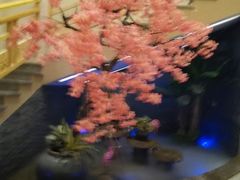 -纽斯洗浴SPA(三墩店)