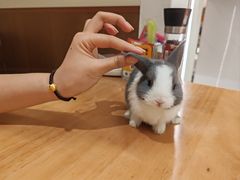 -大象厨房(重庆道店)