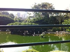-九龙公园