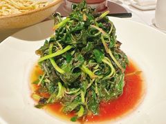 -南麓·浙里(外滩店)