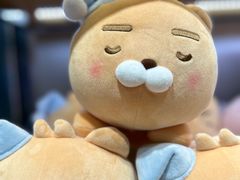 -KAKAO FRIENDS(弘大店)