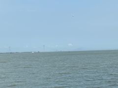 -大湾区中央湿地公园-十九涌
