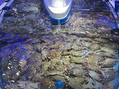 -澜悦港海鲜体验主题餐厅