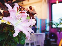 -Cafe Rooftop Cheongsapo