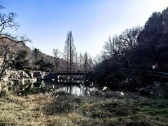 -国家植物园南园