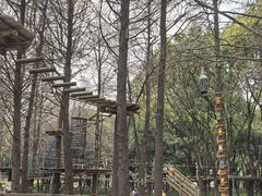 -同里国家湿地公园
