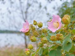 -幸福湖国际会议中心