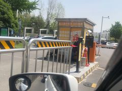 -大宁郁金香公园-停车场