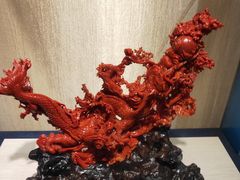 -绮丽珊瑚(台北101旗舰门市店)