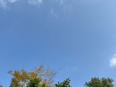 -白鹭湾湿地公园