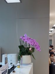 -杭州米兰柏羽医疗美容医院