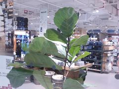 -MUJI无印良品(恒力MALL店)