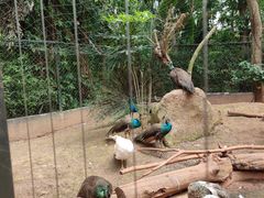 -海南热带野生动植物园