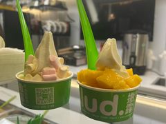 -Salud撒露欧洲冻酸奶(蓝色港湾店)