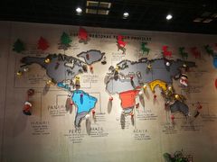 -ZING COFFEE 镜咖啡