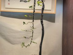 -双季花艺园艺市场(浦东店)