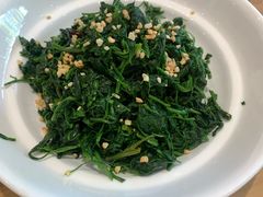 太行灰灰菜-六合居·邯郸菜·武安菜起源地