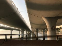 -演武大桥观景平台