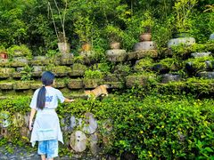 -靖西鹅泉风景区