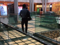 -威尔仕健身(金茂店)