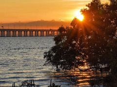 -宝安西湾红树林湿地公园