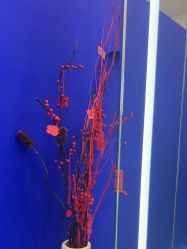 -CIT造型·烫发·染发