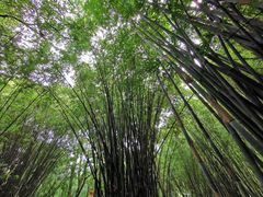 -英西峰林·洞天仙境