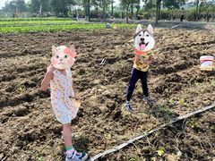 -新塘水果乐园(东洲大道店)