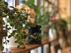 -Cafe Alice咖啡爱丽丝(奥城店)