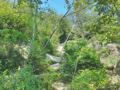 android_upload_pic-陈行公园