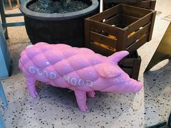-WHEN PIGS FLY当猪飞
